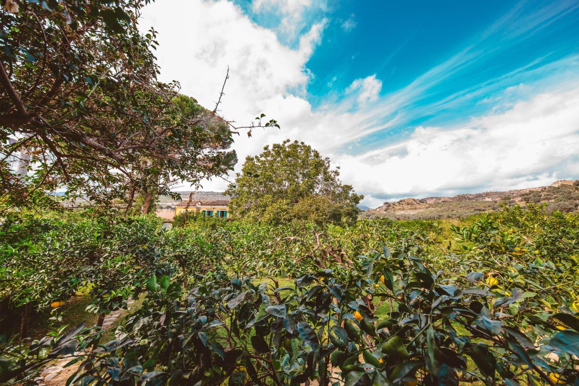 Agriturismo Villa Vittoria Guardavalle Экстерьер фото