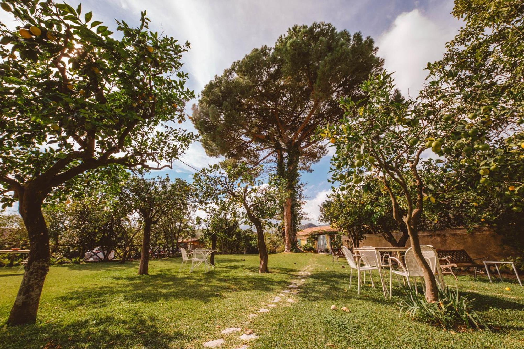 Agriturismo Villa Vittoria Guardavalle Экстерьер фото