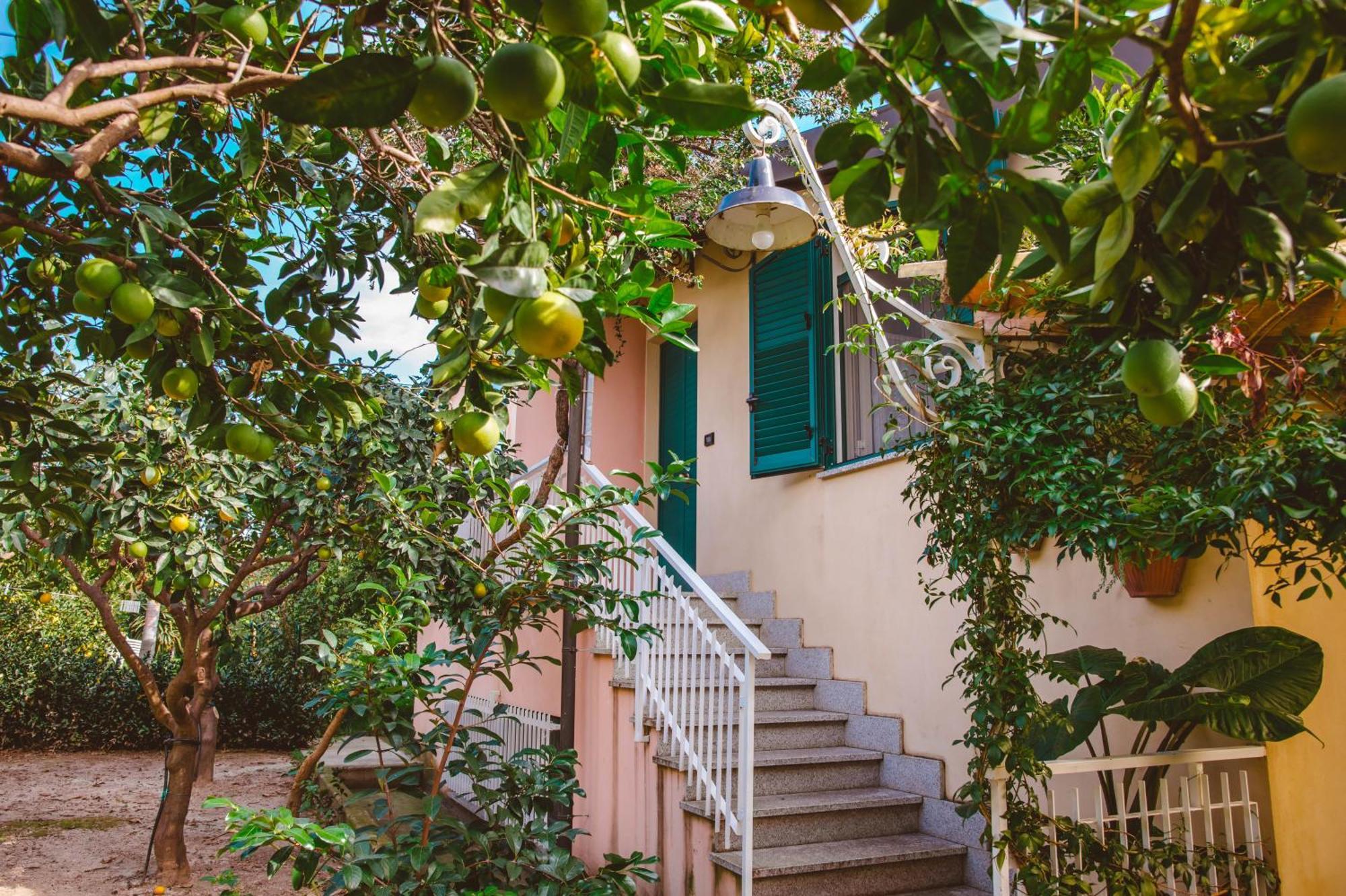Agriturismo Villa Vittoria Guardavalle Экстерьер фото